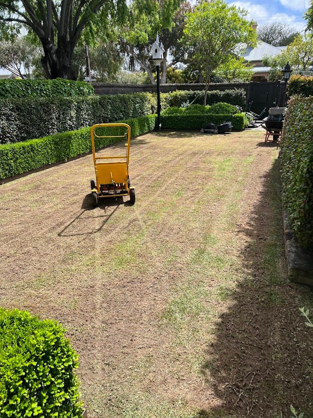 Green Theory — manicured lawn and garden, Adelaide
