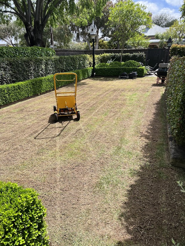 Manicured lawn and garden after renovation work in Adelaide