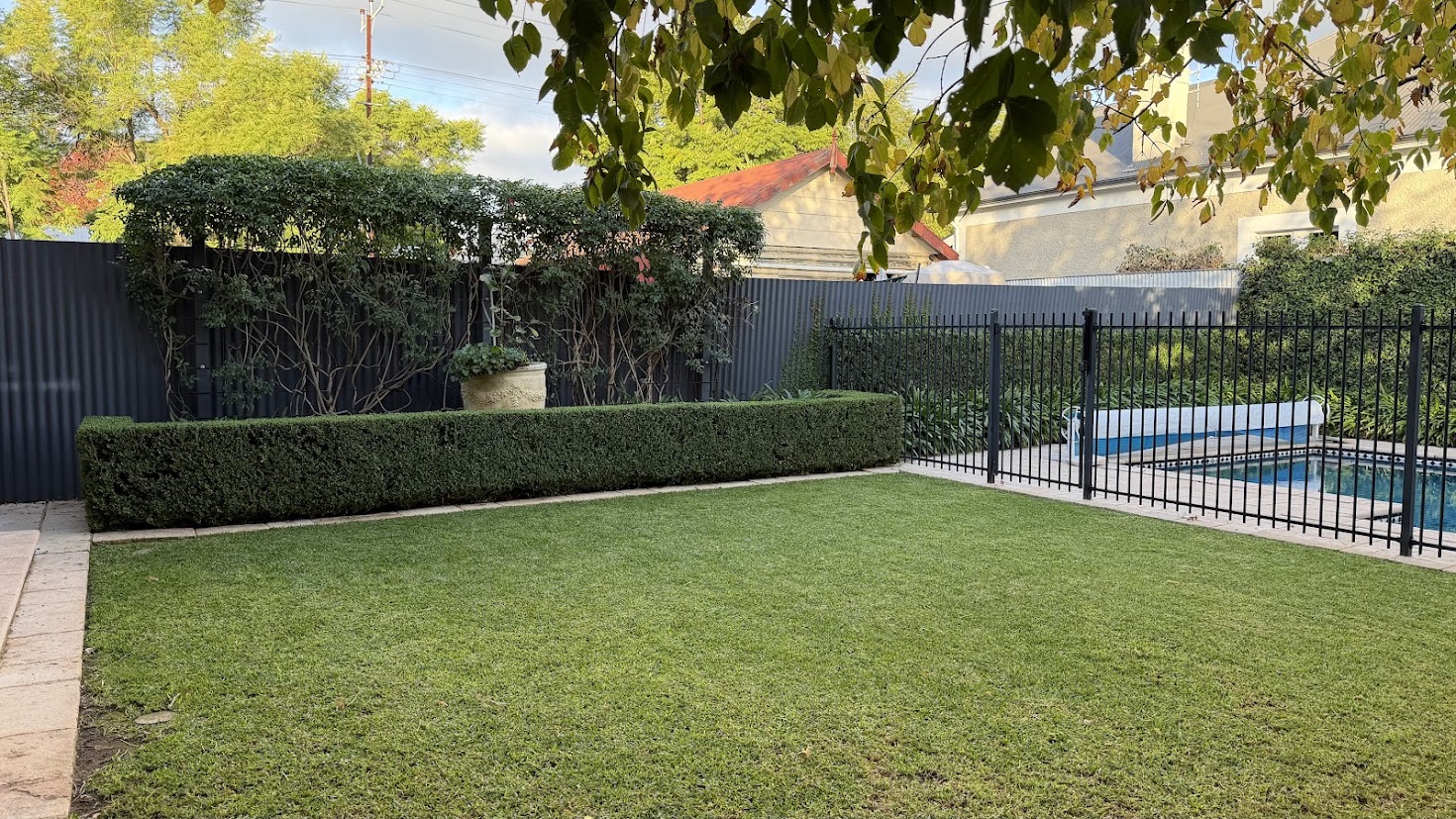 Well-maintained lawn and garden cared for by Green Theory in Adelaide
